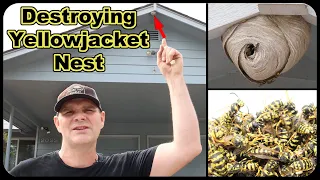 Destroying A Dangerous Yellow Jacket Wasp Nest On A Friends House. Mousetrap Monday