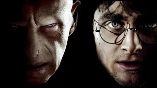 Why Harry And Voldemort Shared The Same Wand Core & Why They Couldn't Battle