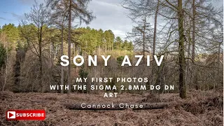 Sony A7iv with the Sigma 24-70mm 2.8 DG DN ART E MOUNT.  First day out - Woodland photography.