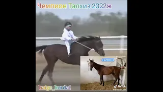 Талхиз Байге