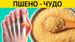 ЗЕРНА ВОЗРОЖДЕНИЯ! Всего одна ложка ПШЕНА и нет болезней! Специалисты в шоке!