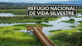 Refugio Nacional de Vida Silvestre de Laguna Cartagena | Lajas, Puerto Rico 🍃