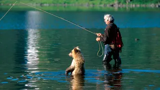 Медвежонок просил рыбу у рыбака и относил её своей раненой матери