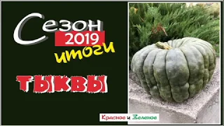 Тыквы. Вкусные и урожайные сорта. Итог 2019. Огород в Сибири