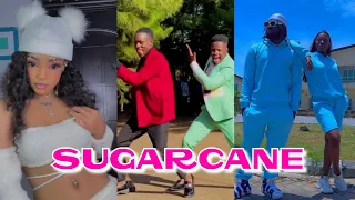 Sugarcane Remix Tiktok challenge | Camidoh ft King promise, Mayorkon & Darkoo