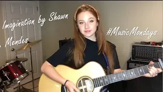 Imagination - Shawn Mendes (Cover by Amanda Nolan)