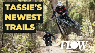 Ripping George Town’s Latest Descents | Fresh Trails at Tippogoree Hills