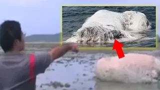 5 Strange Things Discovered After Tsunamis!