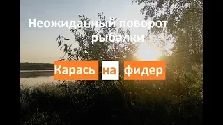 Карась на фидер. Неожиданный поворот рыбалки!