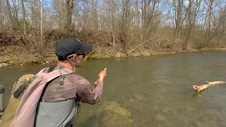 Josh Miller Euro Nymphing A Pennsylvania Spring Creek