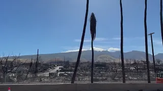 Maui begins to rebuild after devastating wildfires