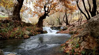 RIVER FLOWS IN YOU 3 HOURS LOOP | BEAUTIFUL RELAXING TUNE | YIRUMA