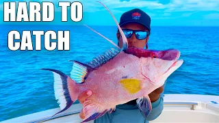 Fishing Tampa Bay For The Hardest Fish To Catch!