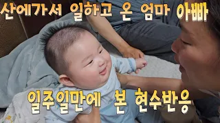 산에 가서 일하고 온 엄마 아빠를 일주일만에 본 현수 반응