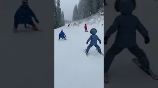 Пінгвін і акула на лижах