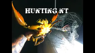 HOMEMADE MUD CRAB TRAP CATCH AND COOK