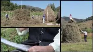 Transylvanian traditional grass work