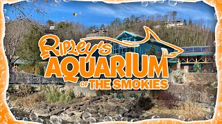 Welcome to Ripley's Aquarium of the Smokies