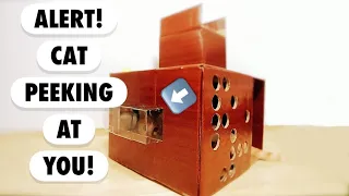 Cute Cat Toy | Transform Cardboard Box into Cat House | DIY Playroom | Realistic & Easy To Make