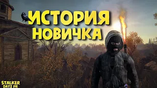 DayZ Stalker RP ИСТОРИЯ НОВИЧКА| ДЕЙЗИ ГЛАЗАМИ НОВИЧКА В 2023 ГОДУ