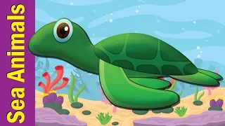 Under The Sea #2 | Marine and Sea Animals Song for Kids | Nursery Rhymes for Kids | Fun Kids English