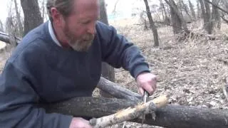 Cutting Dry wood with a Buck Knife