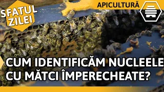 CUM IDENTIFICĂM NUCLEELE CU MĂTCI ÎMPERECHEATE? [Sfatul zilei]