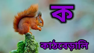 কখগঘ ঙ বাংলা উচ্চারণ || ক খ গ ঘ || Banjonborno shikha