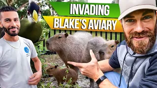 Kenan Invades Blake's Aviary!