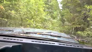 Nissan patrol по лесной просике