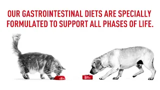 Introducing digestive support for your growing pets