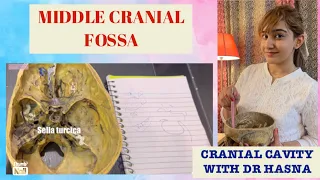 Cranial Cavity | Middle Cranial Fossa Anatomy | Head and Neck