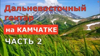 Дальневосточный гектар на КАМЧАТКЕ (часть 2)