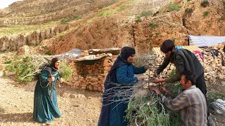 using wild plants to build a door for goat's  house