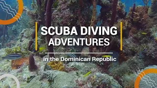 SCUBA DIVING in the DOMINICAN REPUBLIC