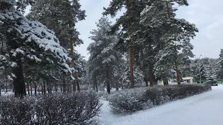 Городской парк, Челябинск, Зима 2019