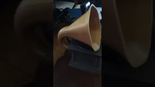 My 3D printed phonograph charger/speaker