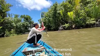 Three different types of big fish#Bamboo fishing rod