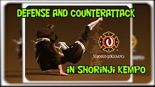 Defense and counterattack techniques in Shorinji Kempo. Seminar,master class,lessons,training. 少林寺拳法