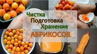 Заготовка абрикосов: полезные советы - как вынуть косточку, сохранить упругость ягод при варке