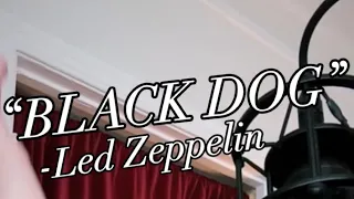 “BLACK DOG” by LED ZEPPELIN - VOCAL COVER