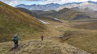 Arctic National Wildlife Refuge June 2022