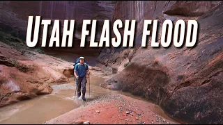 Flash Floods in May? (Halls Creek Narrows, Utah)