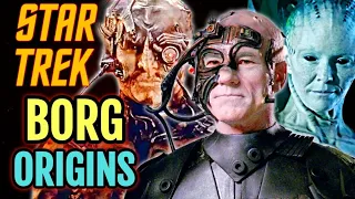 Borg Origins - Star Trek's Most Parasitic And Terrifying Creatures That Would Engulf Entire Galaxy