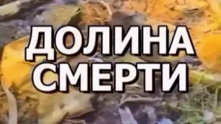 Долина смерти мясной бор Вторая ударная