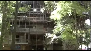 The Minister's Treehouse