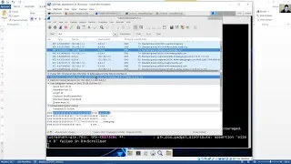 4.6.2.7 Lab - Using Wireshark to Examine a UDP DNS Capture