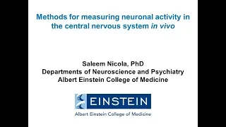 Methods for measuring neuronal activity in the central nervous system in vivo