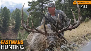 Giant Montana Bull Elk - 374" B&C (Hunting)