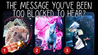 The Message You've Been Too Blocked To Hear?✨🎧🙉✨PICK A CARD 🃏Timeless Reading